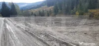 Teren extravilan, 10.937 mp, zona Glodu (Panaci) - Vatra Dor 