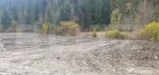 Teren extravilan, 10.937 mp, zona Glodu (Panaci) - Vatra Dor 