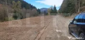 Teren extravilan, 10.937 mp, zona Glodu (Panaci) - Vatra Dor 