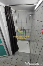 Spatiu Comercial De Inchiriat Brancoveanu 