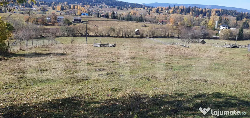Teren intravilan, 14.329 mp, zona Panaci - Vatra Dornei - Vatra Dornei (Suceava)