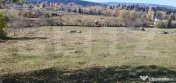 Teren intravilan, 14.329 mp, zona Panaci - Vatra Dornei 