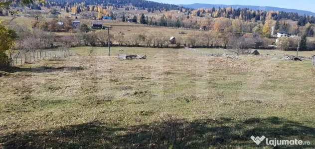 Teren intravilan, 14.329 mp, zona Panaci - Vatra Dornei - Vatra Dornei (Suceava)