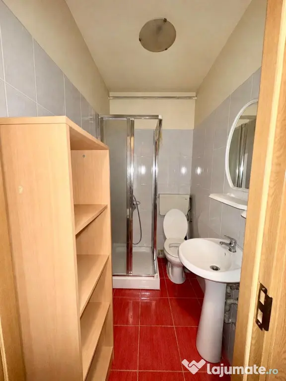 Apartament 1 camera 30mp - zona Badea Cartan - Timisoara (Timis)