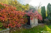 Casă cu vedere panoramică si teren de 1.310 mp – Bârsesti - Mihaesti - Govora 