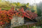 Casă cu vedere panoramică si teren de 1.310 mp – Bârsesti - Mihaesti - Govora 