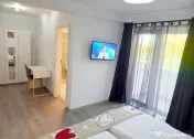 Duplex 4 camere - 4 bai | 120mp utili | Ghiroda | Asfalt 
