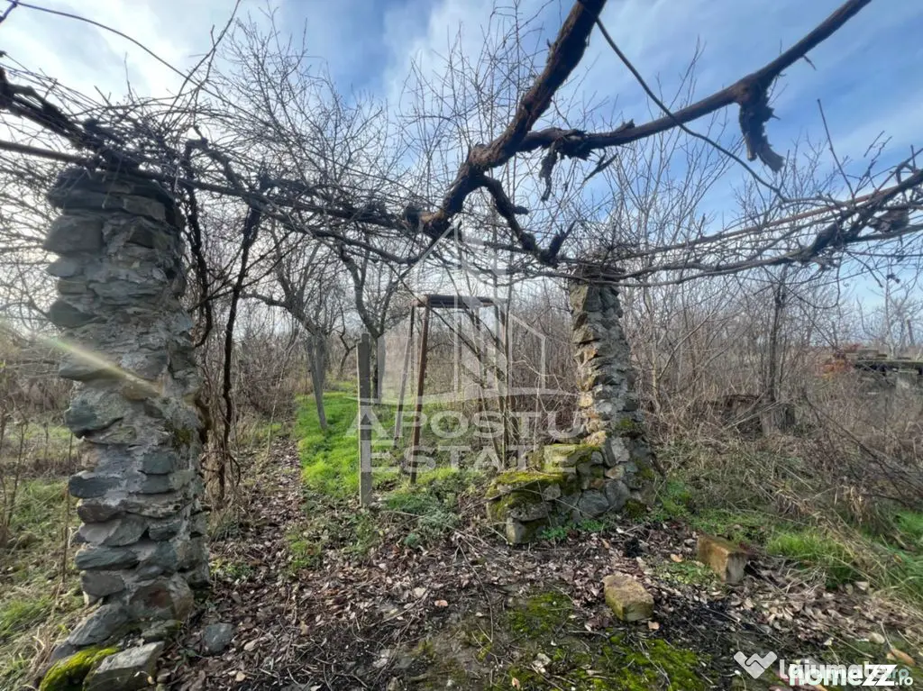 De vanzare casa de vacanta in Charlotemburg jud Timis - Charlotenburg (Timis)