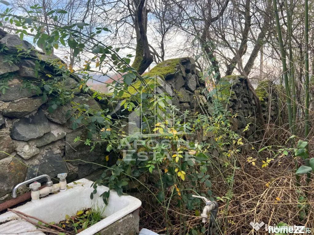 De vanzare casa de vacanta in Charlotemburg jud Timis - Charlotenburg (Timis)