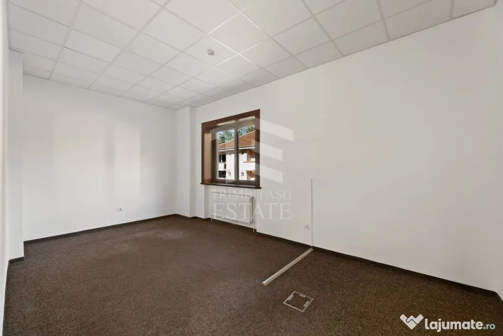 ULTRACENTRAL | Spatiu Birouri Demisol+Parter 450mp | Stare impecabila - Timisoara (Timis)