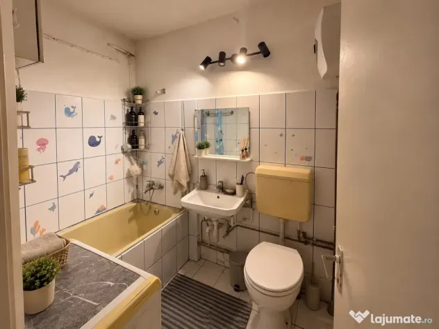 Apartament 1 camera, 26 mp utili - zona Lipovei - Timisoara (Timis)
