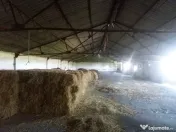 Inchiriez hala 1200 mp. zona Vlaicu - ID : RH-9902-property 