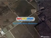 Buftea - 4.826 Mp str. Aviatiei 