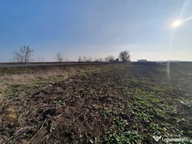 Teren pe drumul Arad-Oradea - ID : RH-14388-property