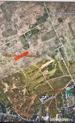 Teren Baneasa 15.000 Mp Piscul Mosului