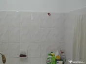 Busteni -apartament cu 2 camere ,parter 