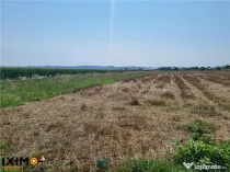 Teren Calea Barladului