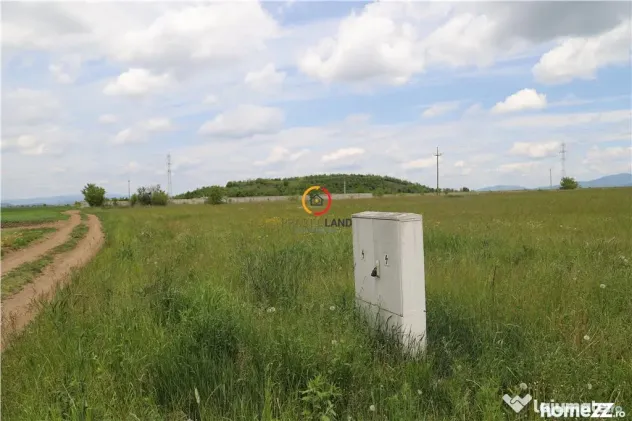 Teren intravilan13100 mp pentru dezvoltare imobiliara - Sacele (Brasov)