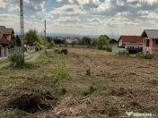 M.Costin, 7-21 ari teren 