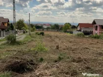 M.Costin, 7-21 ari teren