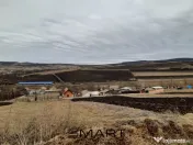 Teren extravilan 61000mp Daia Romana - Alba 