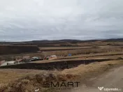 Teren extravilan 61000mp Daia Romana - Alba 