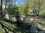 Casa cu teren langa râu Lotrioara 