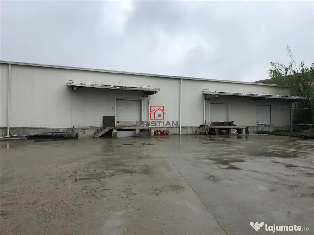 Depozit/hala/spatiu industrial Pantelimon - Centura, ILFOV
