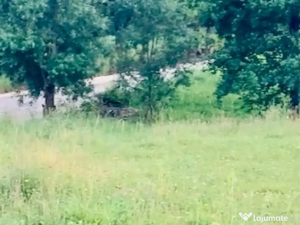 Teren Negresti, 844 mp, loc de casa