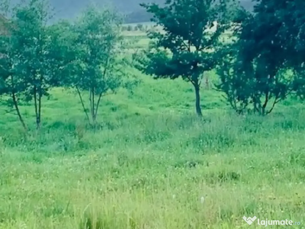 Teren Negresti, 844 mp, loc de casa