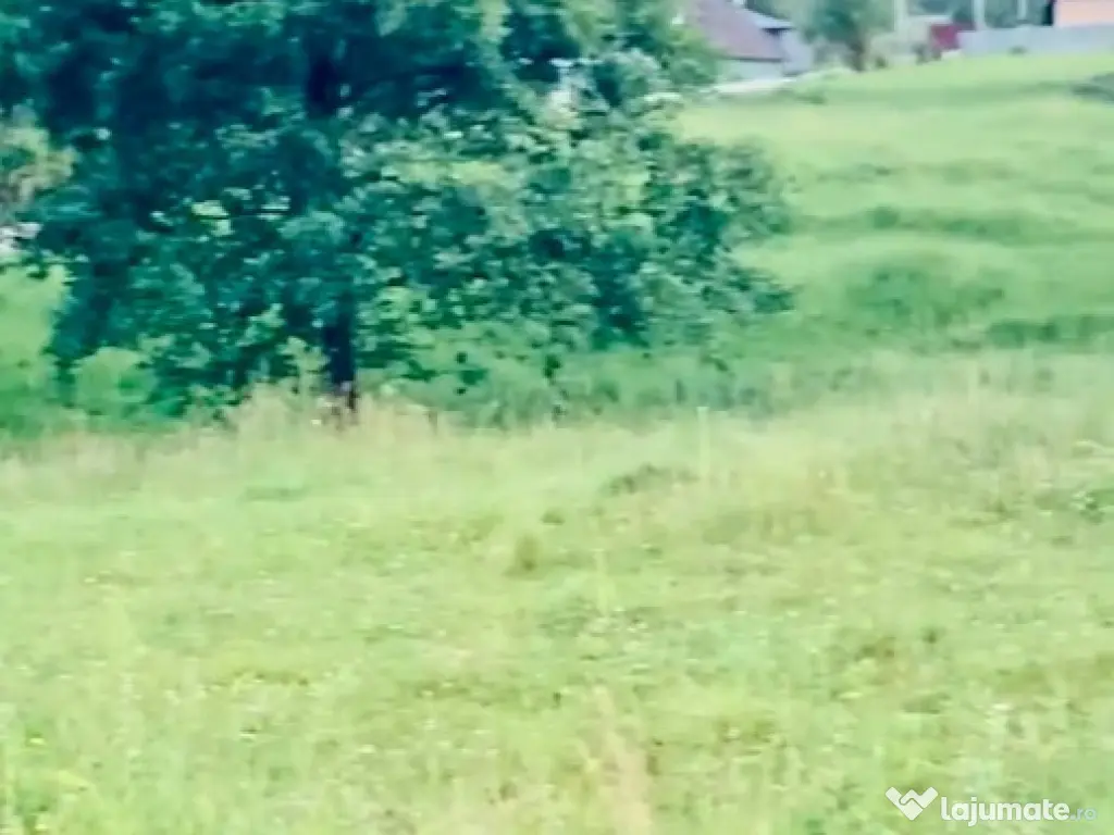 Teren Negresti, 844 mp, loc de casa