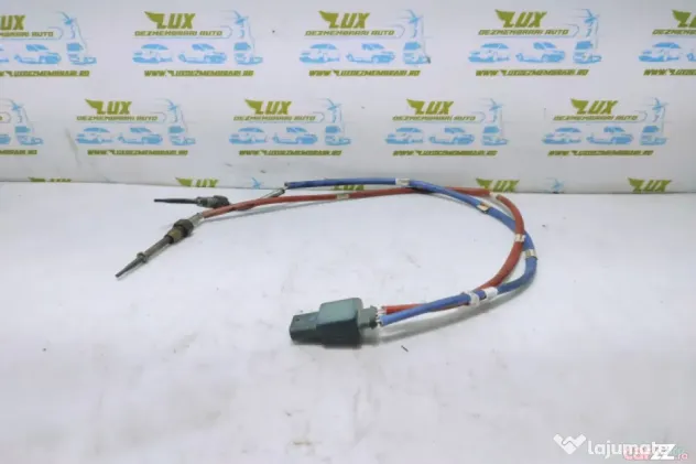 Senzor temperatura galerie evacuare 1.2 1.3 tce 226587733ra Nissan Qas