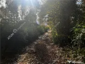 Teren intravilan de pe Valea Avrigului in suprafata de 1800 