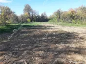 Teren intravilan de pe Valea Avrigului in suprafata de 1800 