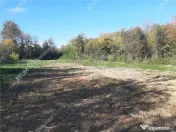 Teren intravilan de pe Valea Avrigului in suprafata de 1800 