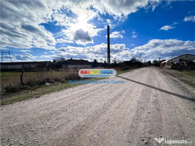 Teren Halchiu 5000 mp cu utilitati si puz