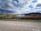 Teren Halchiu 5000 mp cu utilitati si puz 