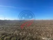 Teren 5000 mp Ghercesti in apropierea DEX 