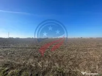 Teren 5000 mp Ghercesti in apropierea DEX