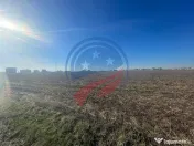 Teren 5000 mp Ghercesti in apropierea DEX 