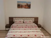 Apartament 2 camere Buziasului 