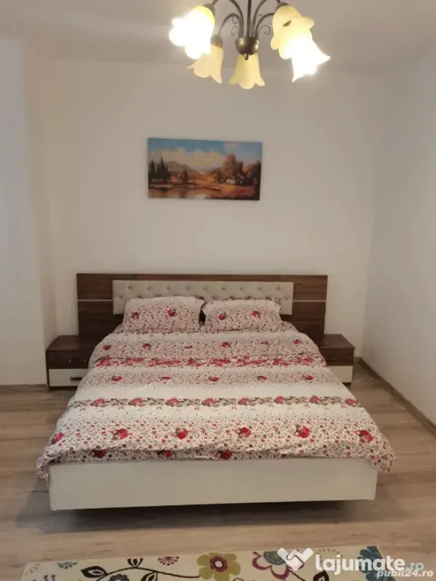 Apartament 2 camere Buziasului