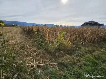 Teren intravilan Hateg