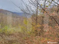 Teren Muntele Rece 3000mp, Intravilan utilitati