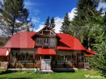 Ocazie unica! Cabana 180 mp utili, teren, Dorna Arini