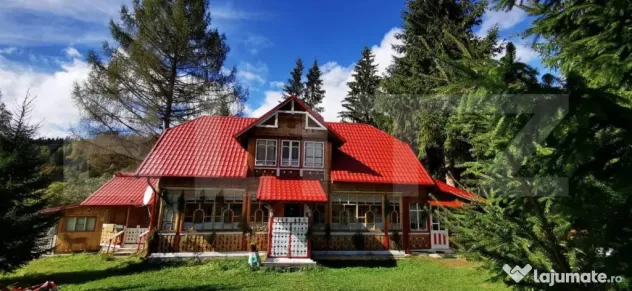 Ocazie unica! Cabana 180 mp utili, teren, Dorna Arini