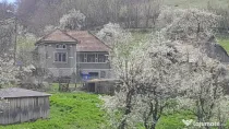 Casa individuala, 5500 mp teren, zona Vintu de Jos, Inuri