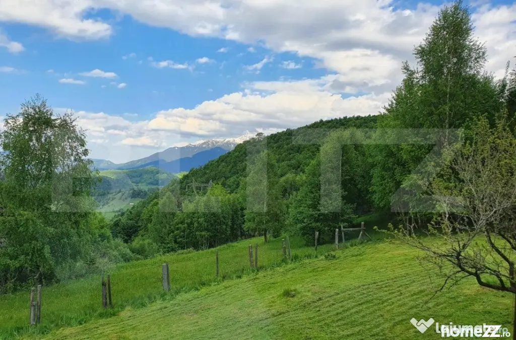 Casa de vacanță, pretabilă pentru pensiune în Moieciu - Moieciu de Jos (Brasov)