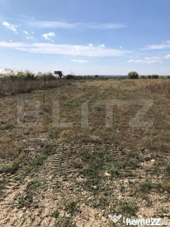 Teren 5825 mp, zona Dragomiresti - Dragomiresti (Dambovita)