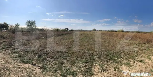 Teren 5825 mp, zona Dragomiresti - Dragomiresti (Dambovita)